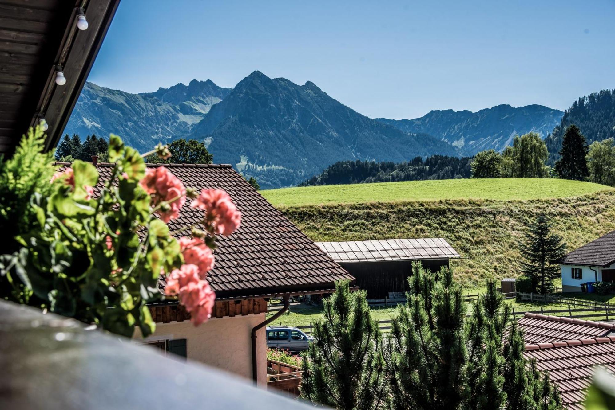 Haus Susanne - Top-Ferienwohnungen - Sommer-Bergbahn Inklusive Обермайзелщайн Екстериор снимка