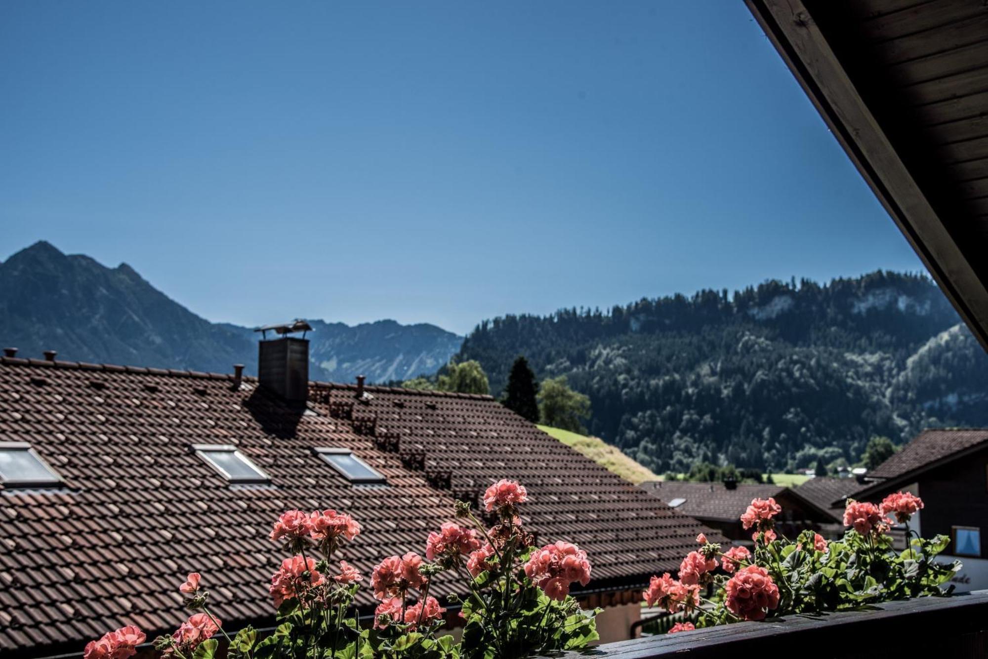 Haus Susanne - Top-Ferienwohnungen - Sommer-Bergbahn Inklusive Обермайзелщайн Екстериор снимка