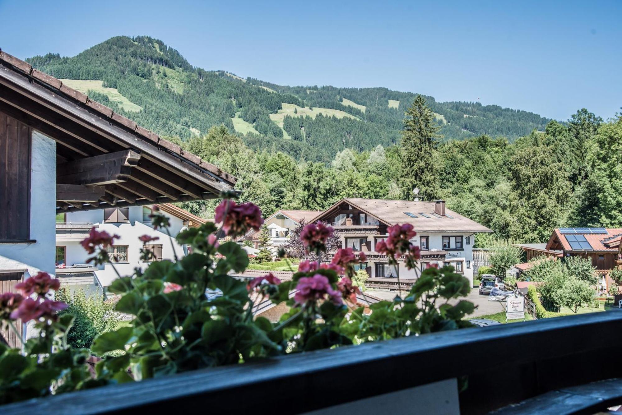 Haus Susanne - Top-Ferienwohnungen - Sommer-Bergbahn Inklusive Обермайзелщайн Екстериор снимка